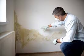 Mold Odor Removal Services in Arnold Line, MS